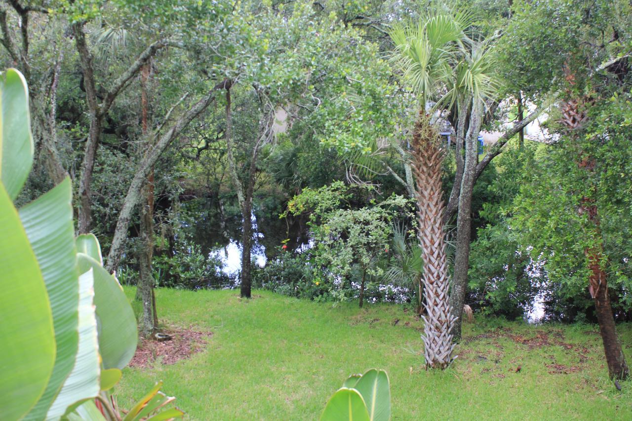 Treehouse Villa Tampa Exteriör bild